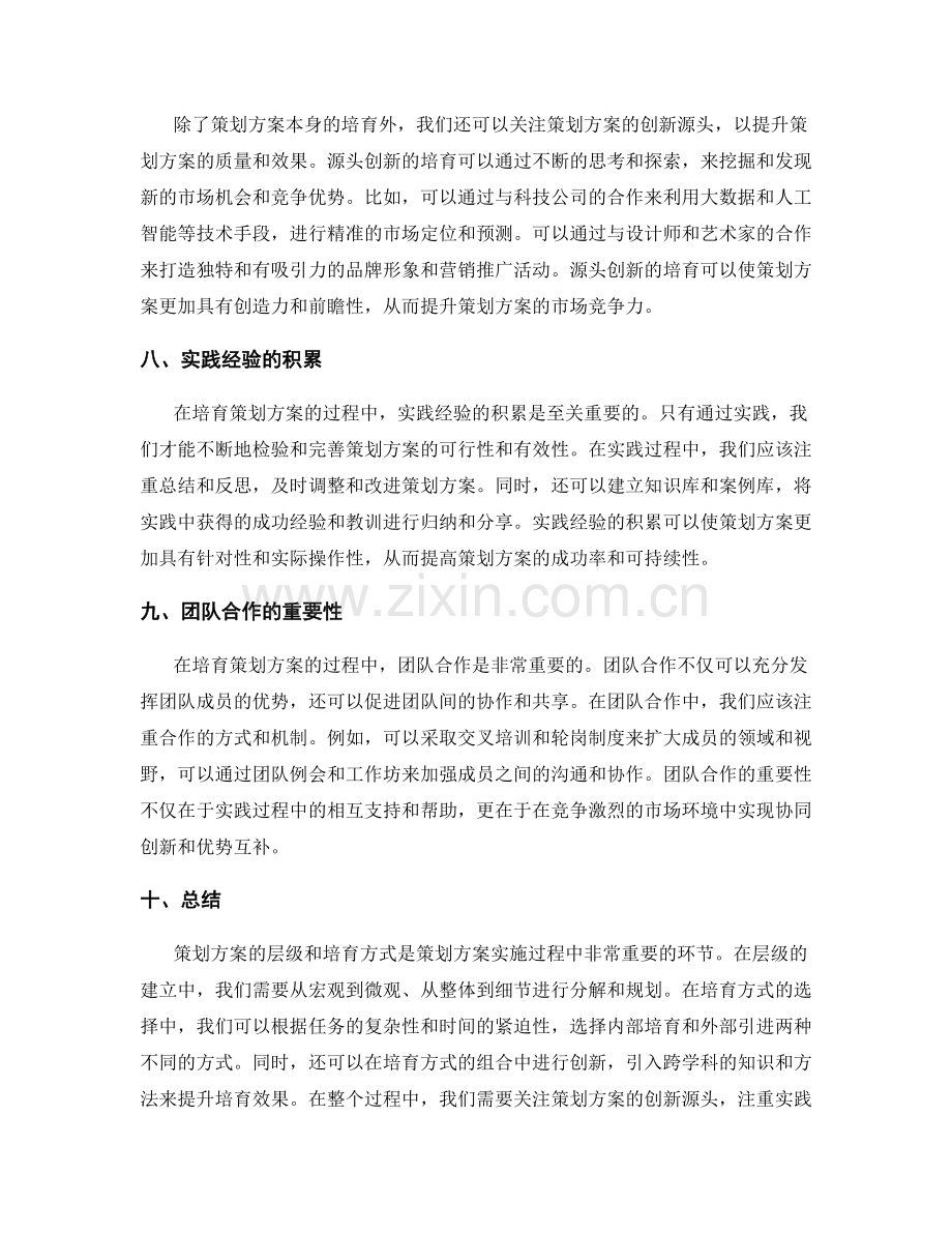 策划方案的层级与培育方式.docx_第3页