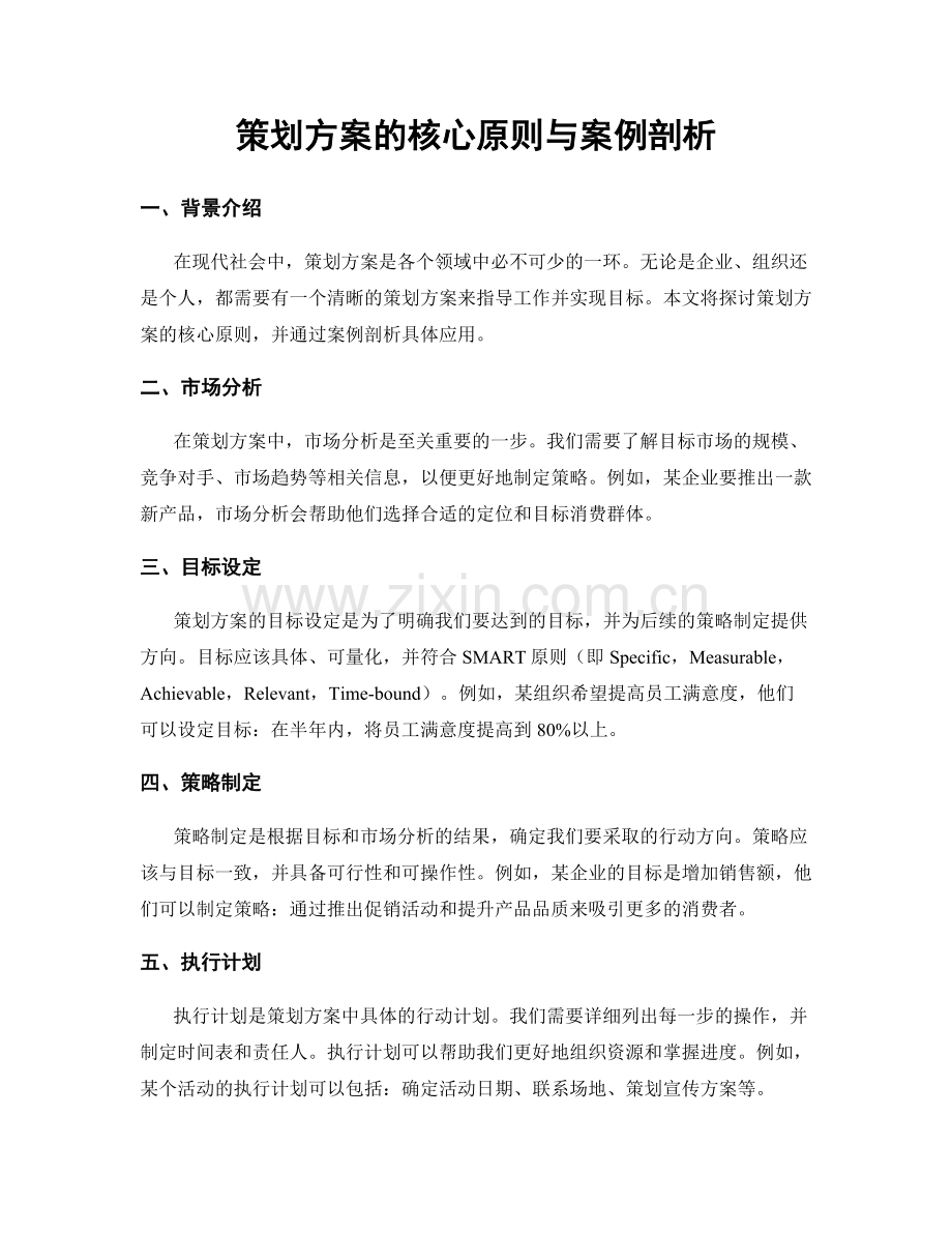 策划方案的核心原则与案例剖析.docx_第1页