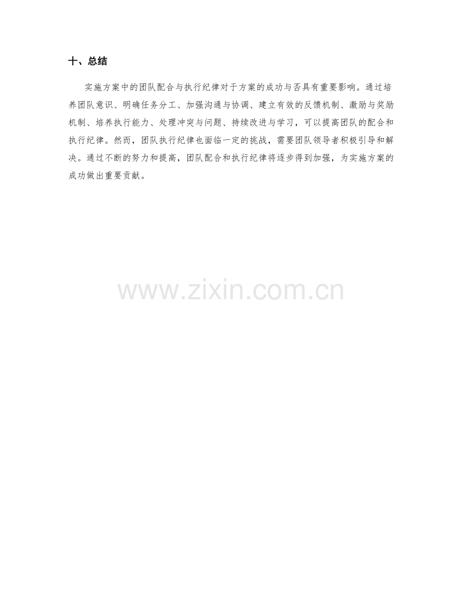 实施方案中的团队配合与执行纪律.docx_第3页