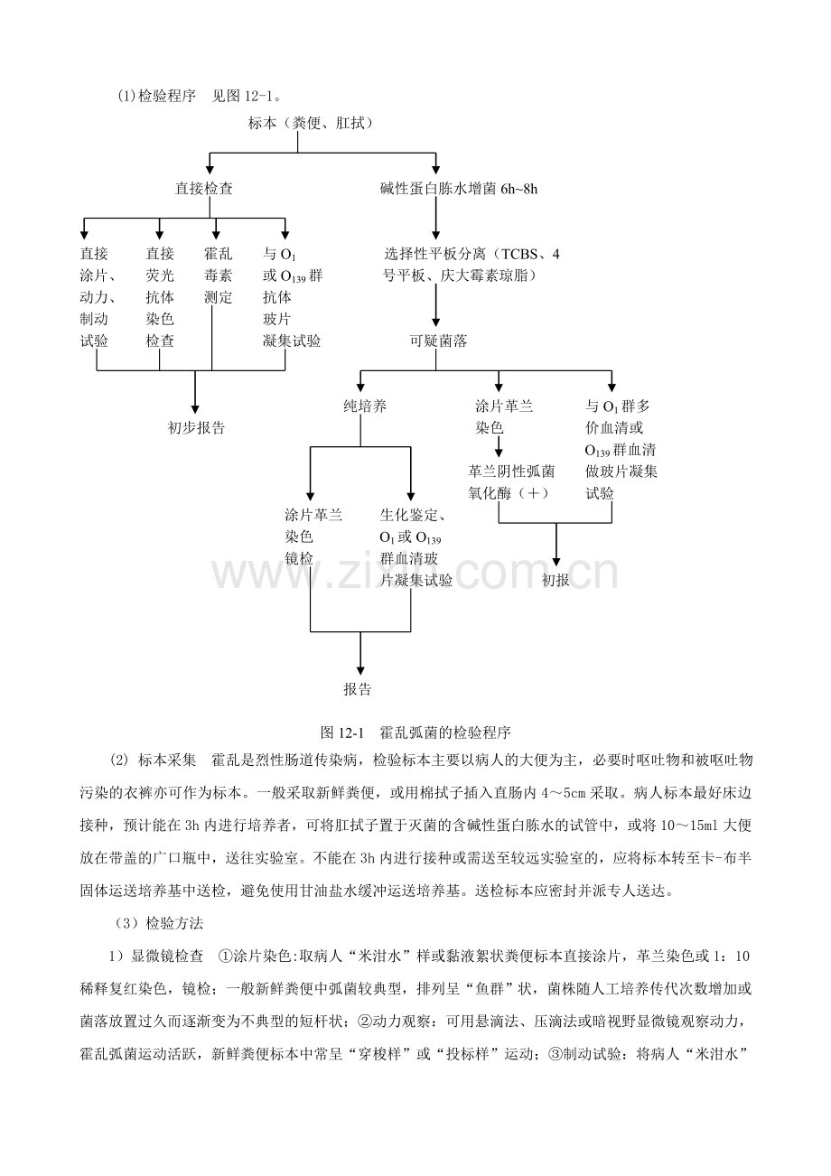 上海交大网络课程检验微生物讲义.doc_第3页