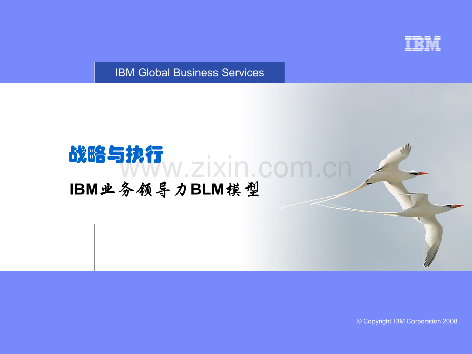 华为从ibm引进的BLM模型.pptx_第1页