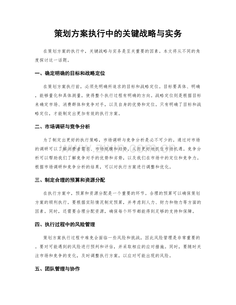 策划方案执行中的关键战略与实务.docx_第1页