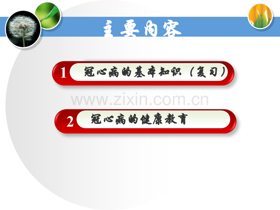 冠心病防治及健康教育.ppt_第2页