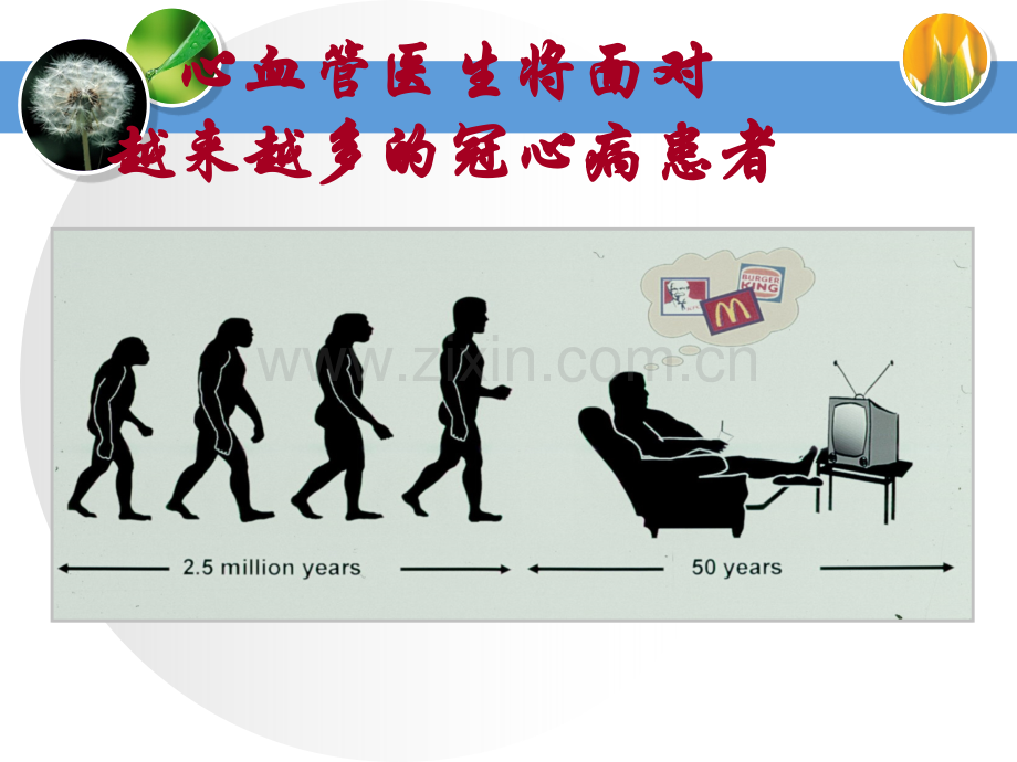 冠心病防治及健康教育.ppt_第3页