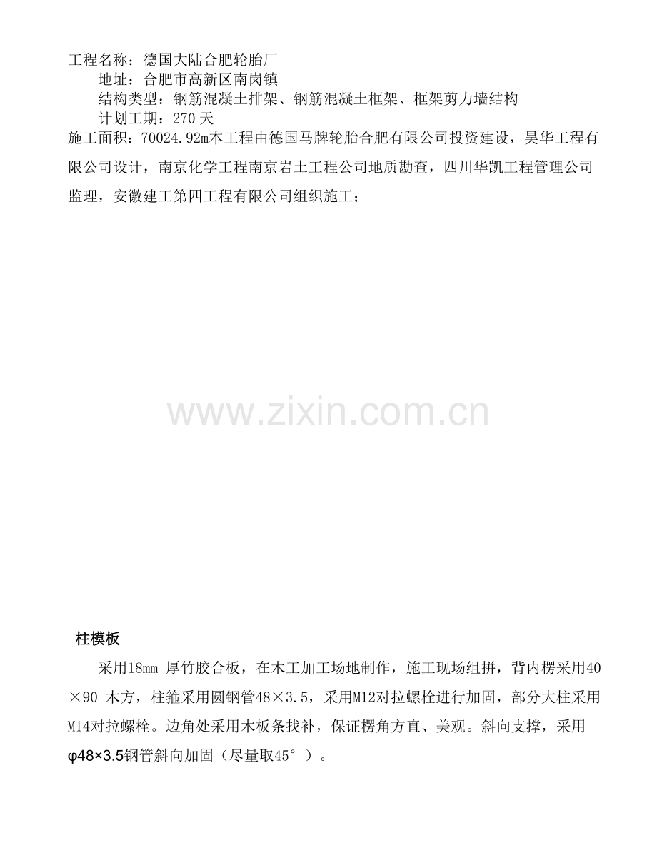 德国大陆轮胎模板专项施工方案.docx_第1页