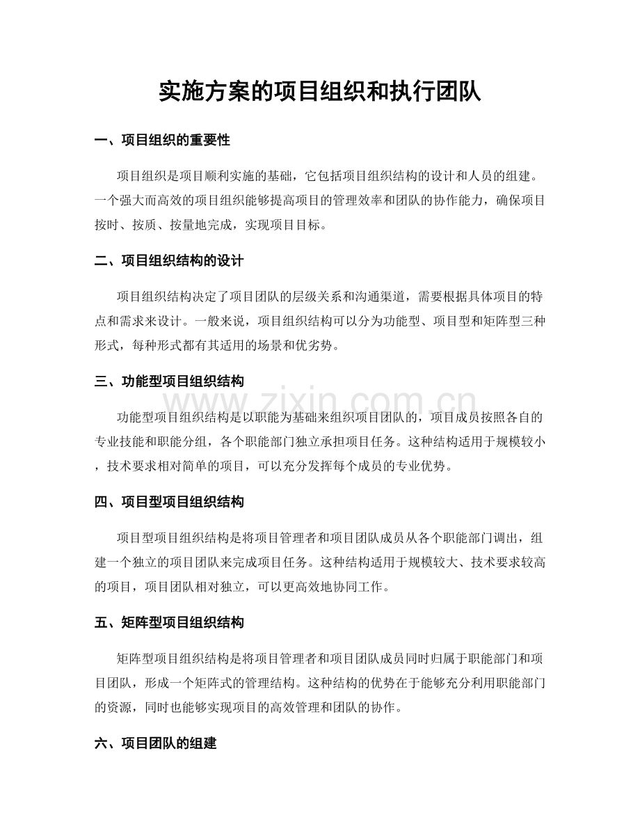 实施方案的项目组织和执行团队.docx_第1页