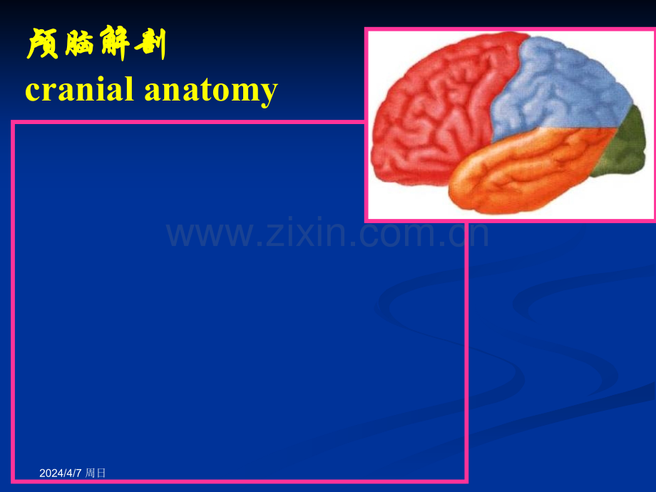 颅脑解剖与常见疾病的CTMRI表现.pptx_第2页