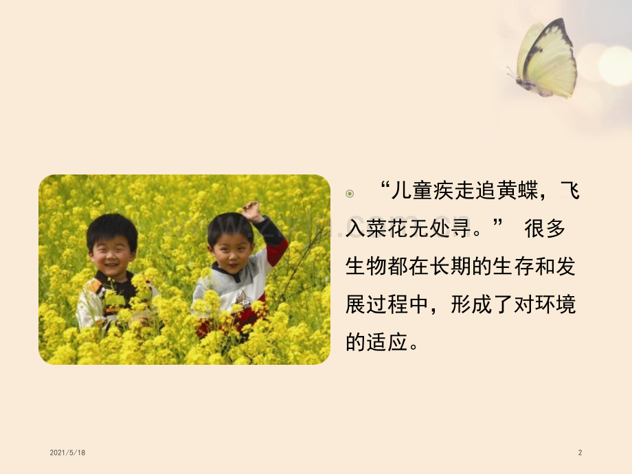 《生物对环境的适应》.ppt_第2页