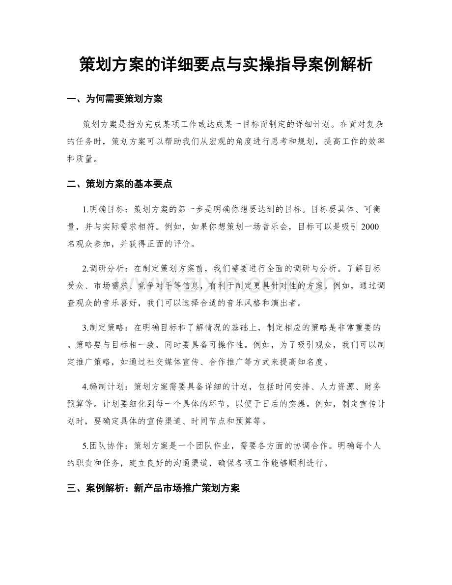 策划方案的详细要点与实操指导案例解析.docx_第1页