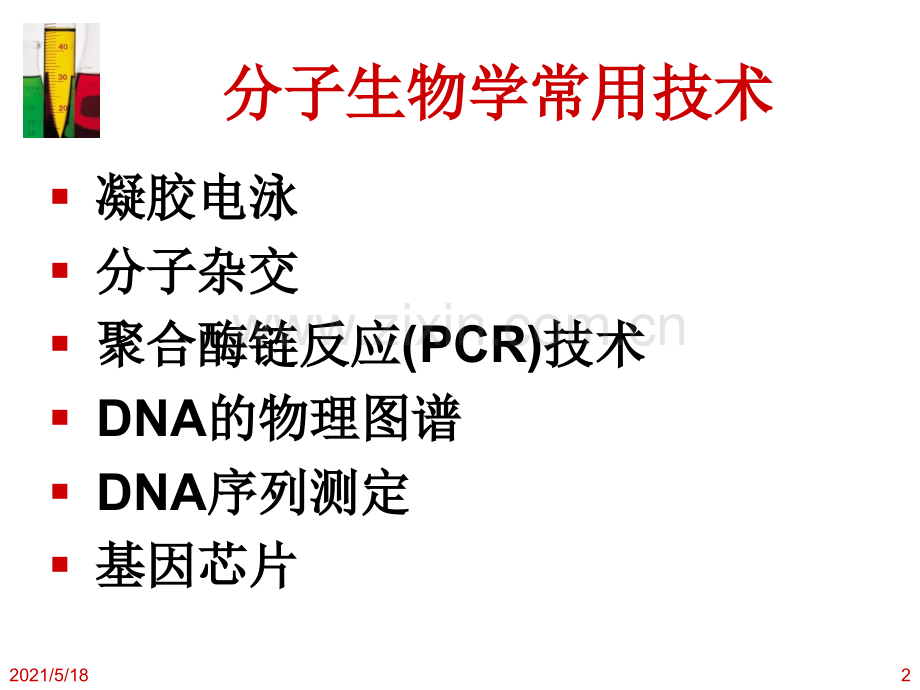 分子生物学常用技术.ppt_第2页