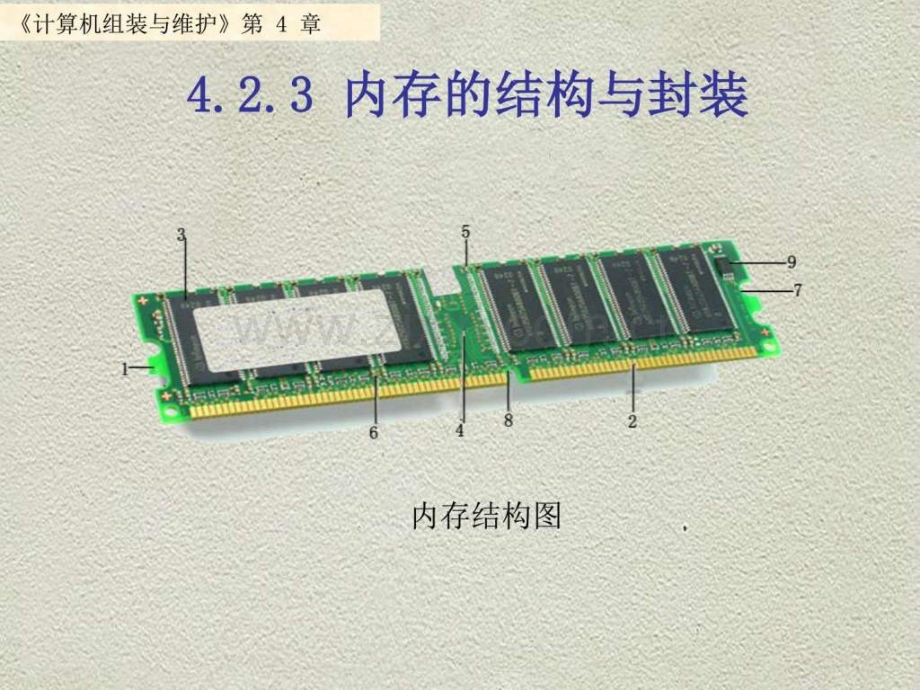 内存储器图文.pptx_第3页