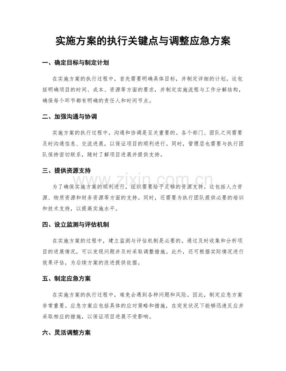 实施方案的执行关键点与调整应急方案.docx_第1页