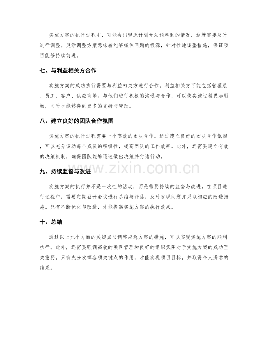 实施方案的执行关键点与调整应急方案.docx_第2页