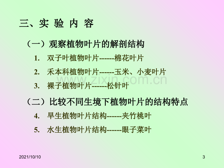 实验六-叶的解剖结构【优质PPT】.ppt_第3页