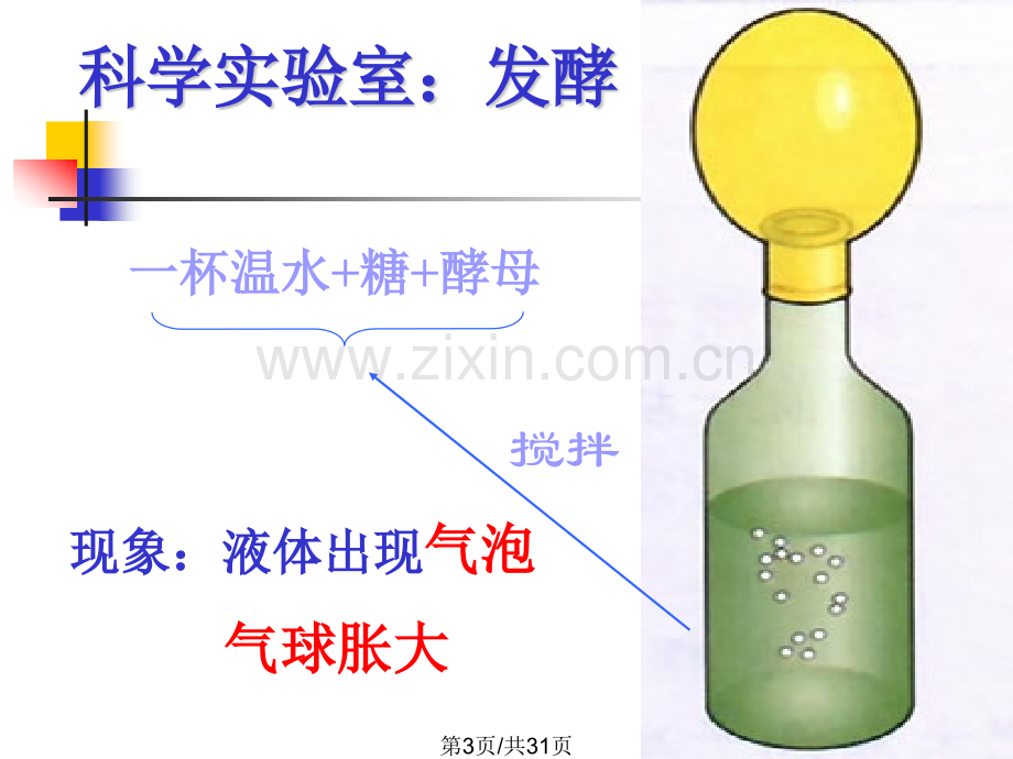 五人类对细菌真菌利用.pptx_第3页