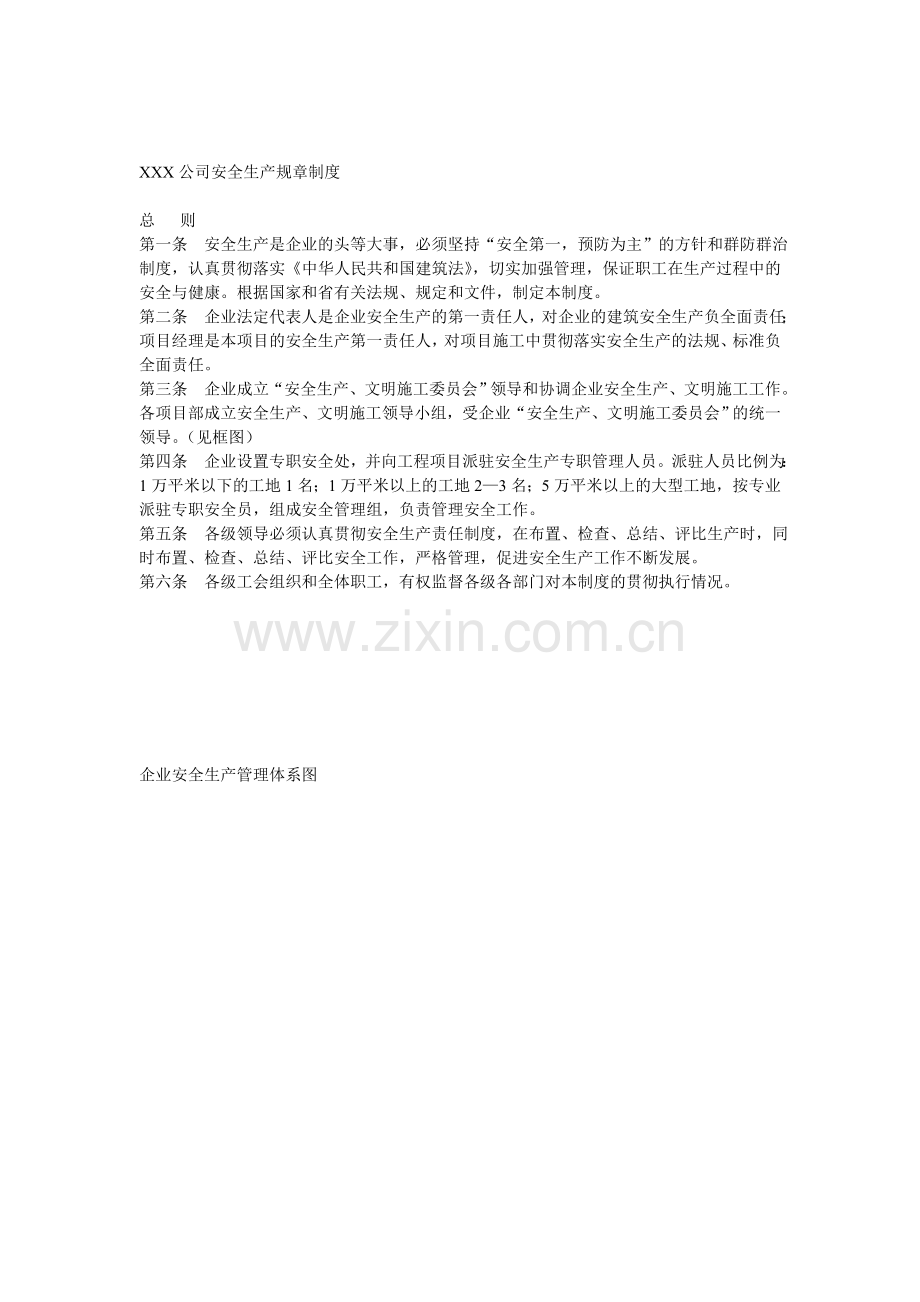 XXX公司安全生产规章制度.doc_第1页