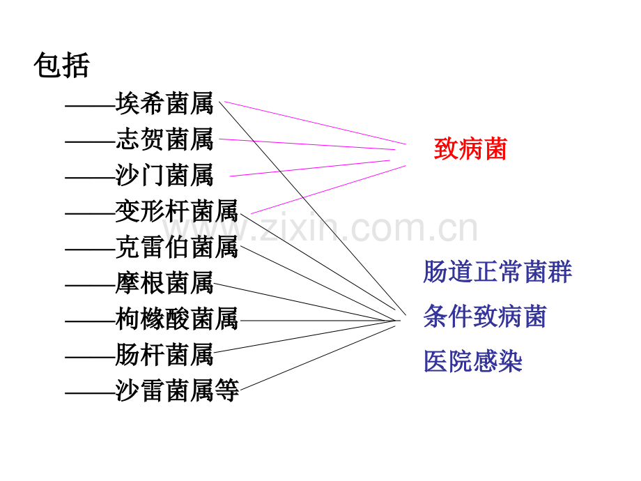 9肠道感染细菌.pptx_第3页