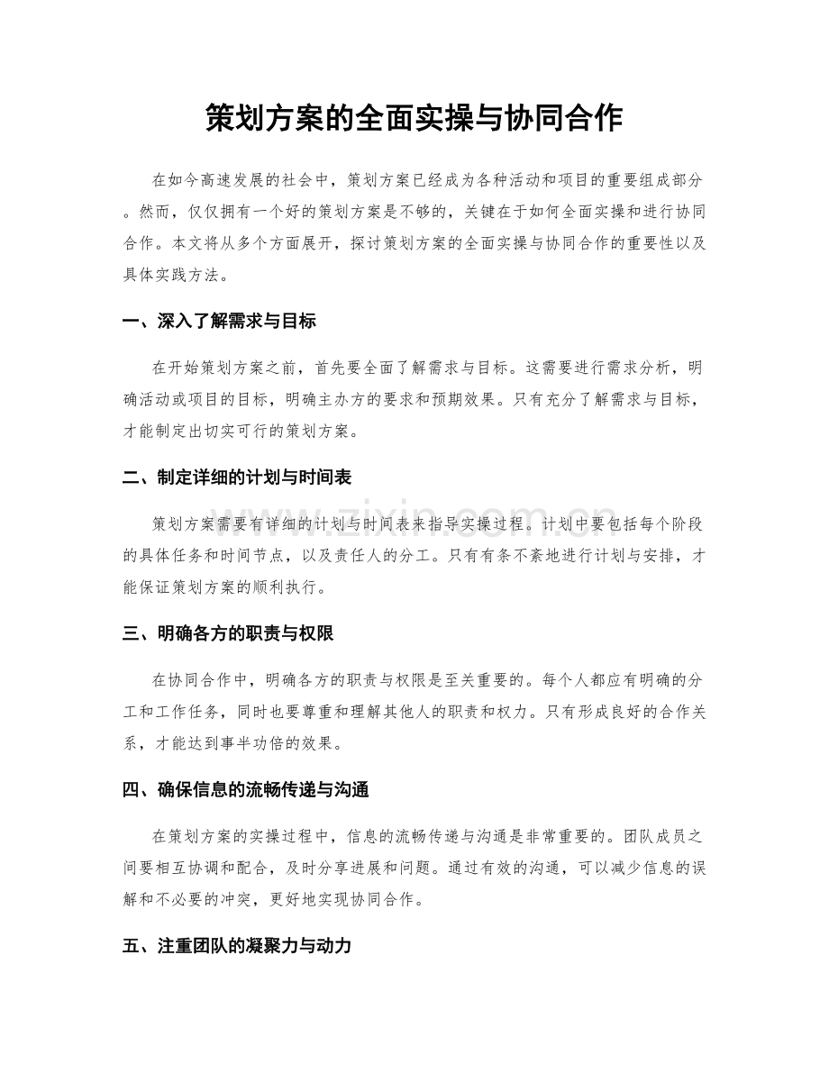 策划方案的全面实操与协同合作.docx_第1页