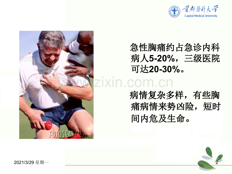 胸痛的诊治流程.ppt_第2页