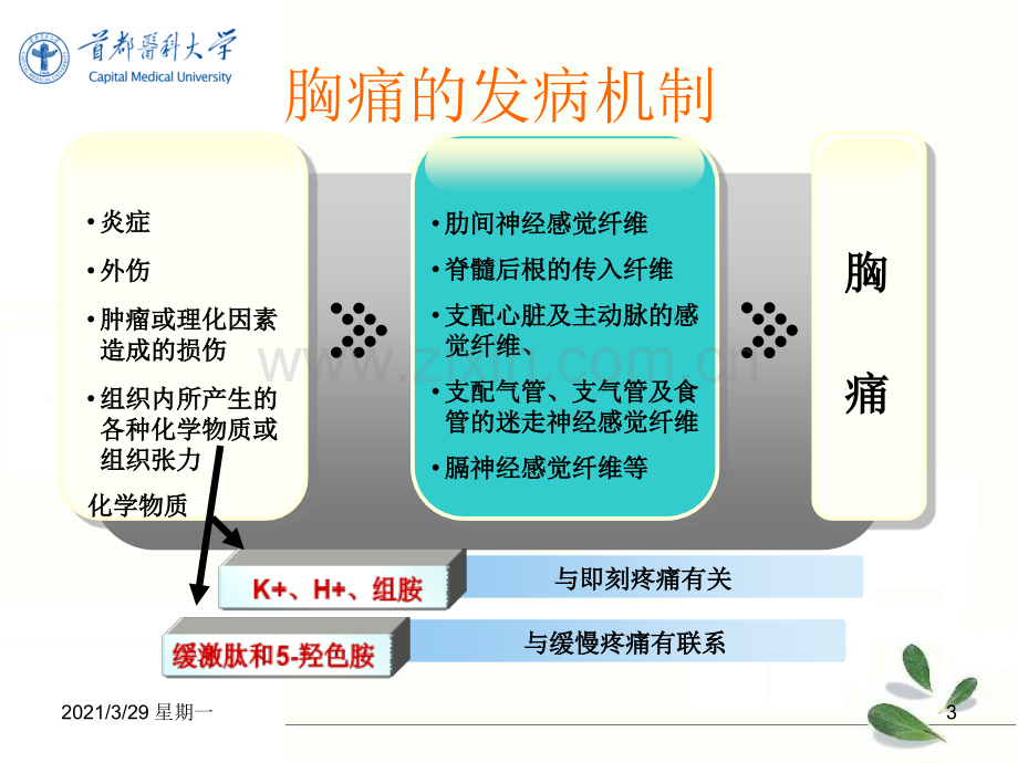 胸痛的诊治流程.ppt_第3页