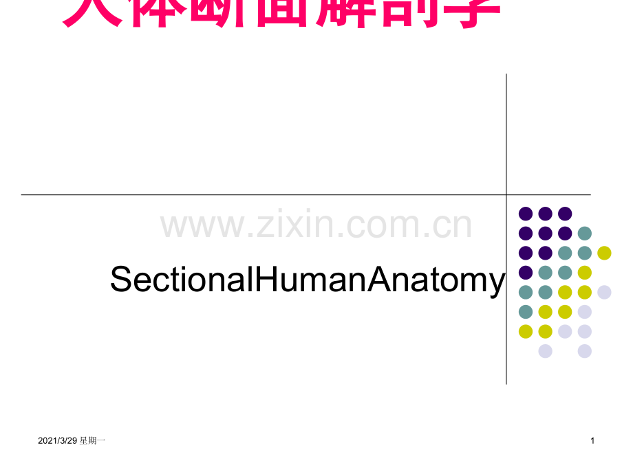 断面解剖颈部.ppt_第1页