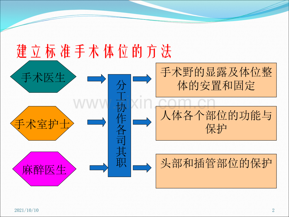 手术室护理实践指南体位(手术体位2).ppt_第2页