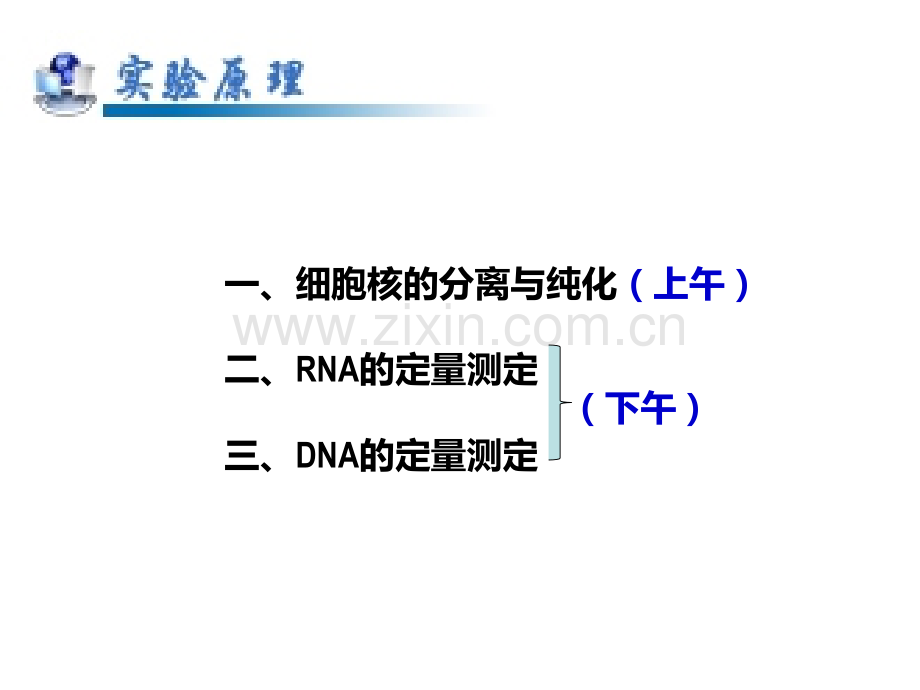 细胞核的分离与纯化及RNADNA的定量测定.pptx_第2页