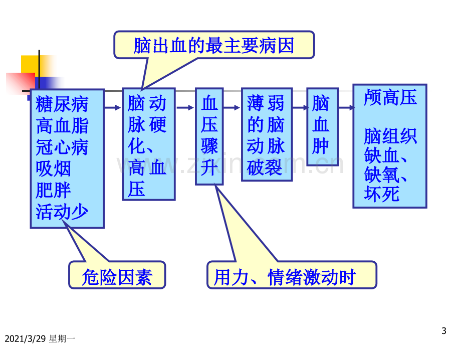 脑出血80048.ppt_第3页