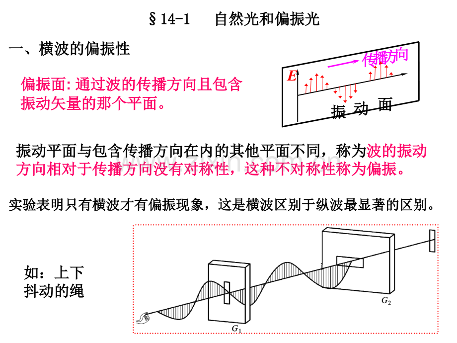 第14章-光的偏振.pptx_第1页