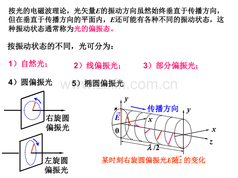 第14章-光的偏振.pptx_第2页