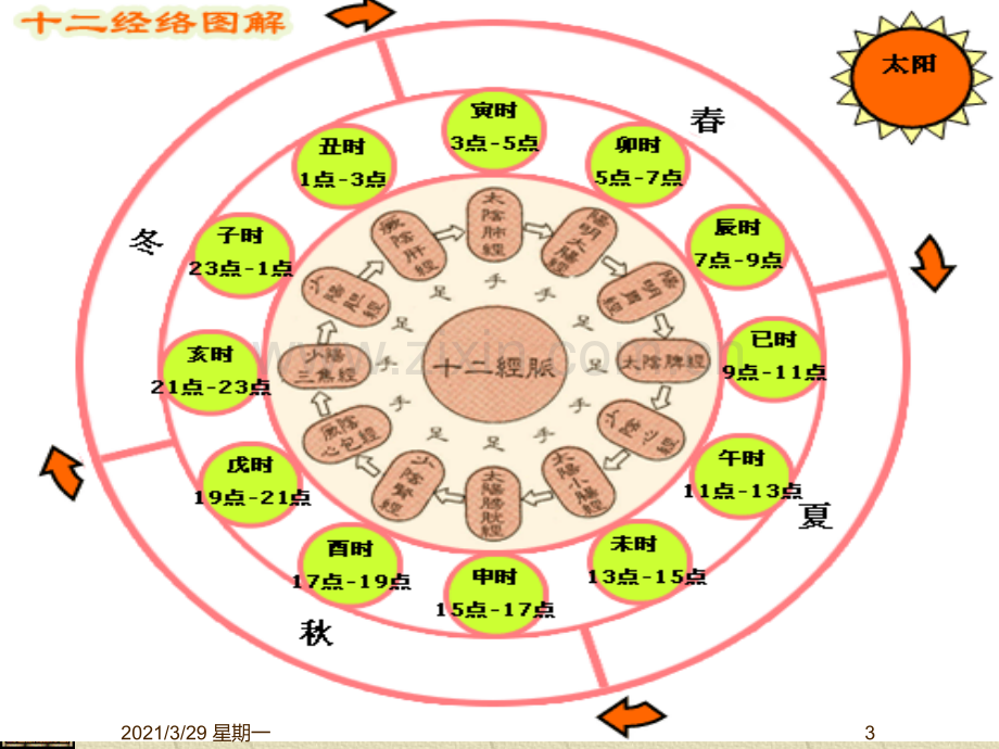 中医养生五行PPT【优质PPT】.ppt_第3页