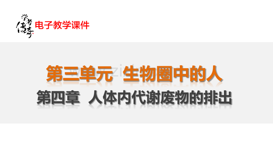 中考生物复习34人体内代谢废物的排出.pptx_第1页