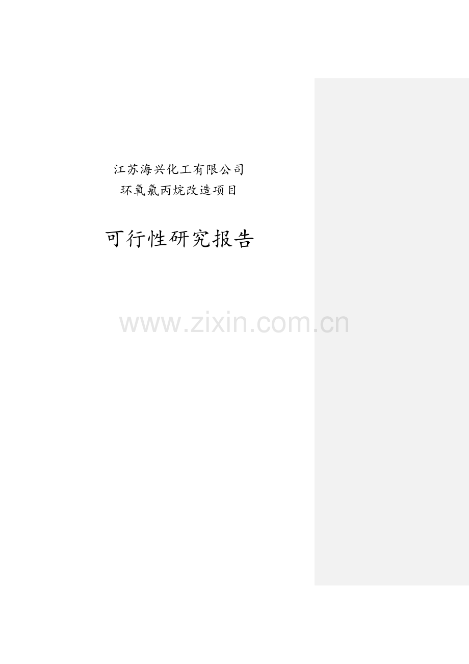 13万吨年环氧氯丙烷改造17万吨年环氧丙烷项目可行性研究报告.docx_第1页