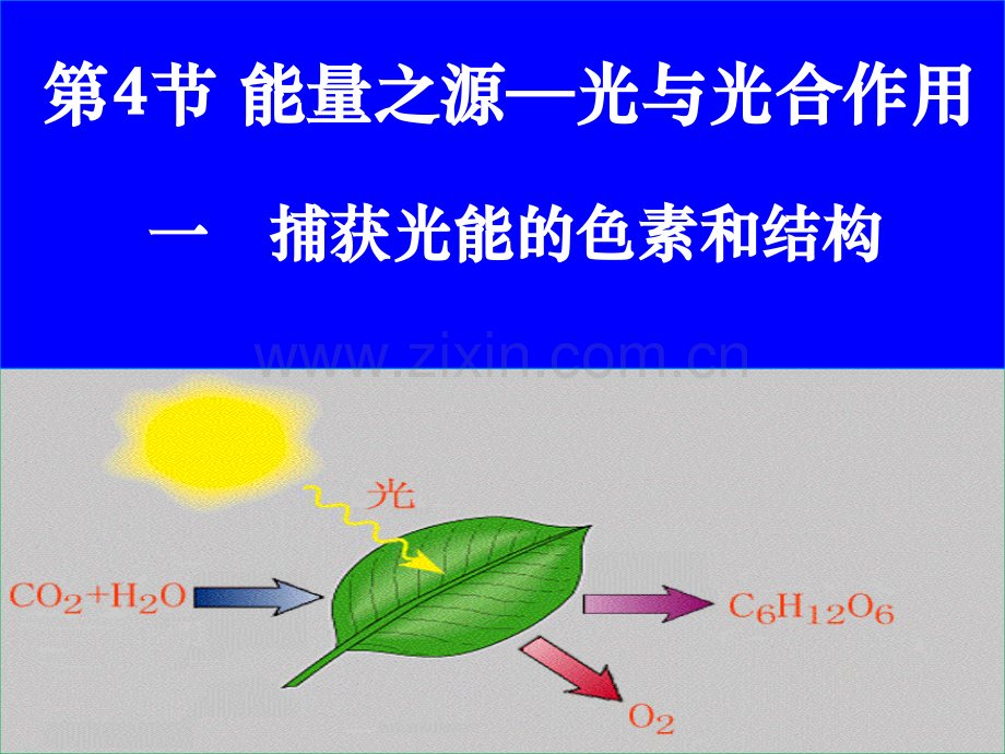 光合作用12.pptx_第1页