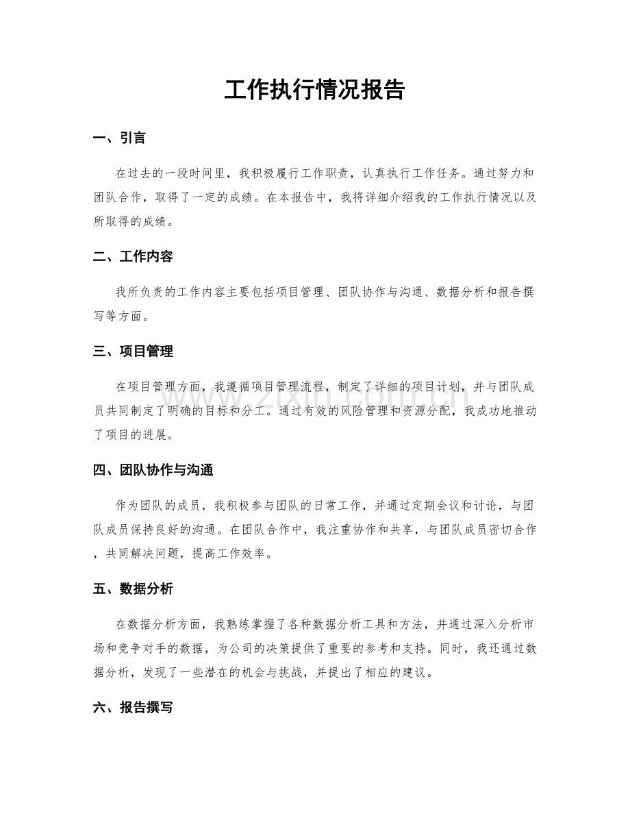 工作执行情况报告.docx_第1页