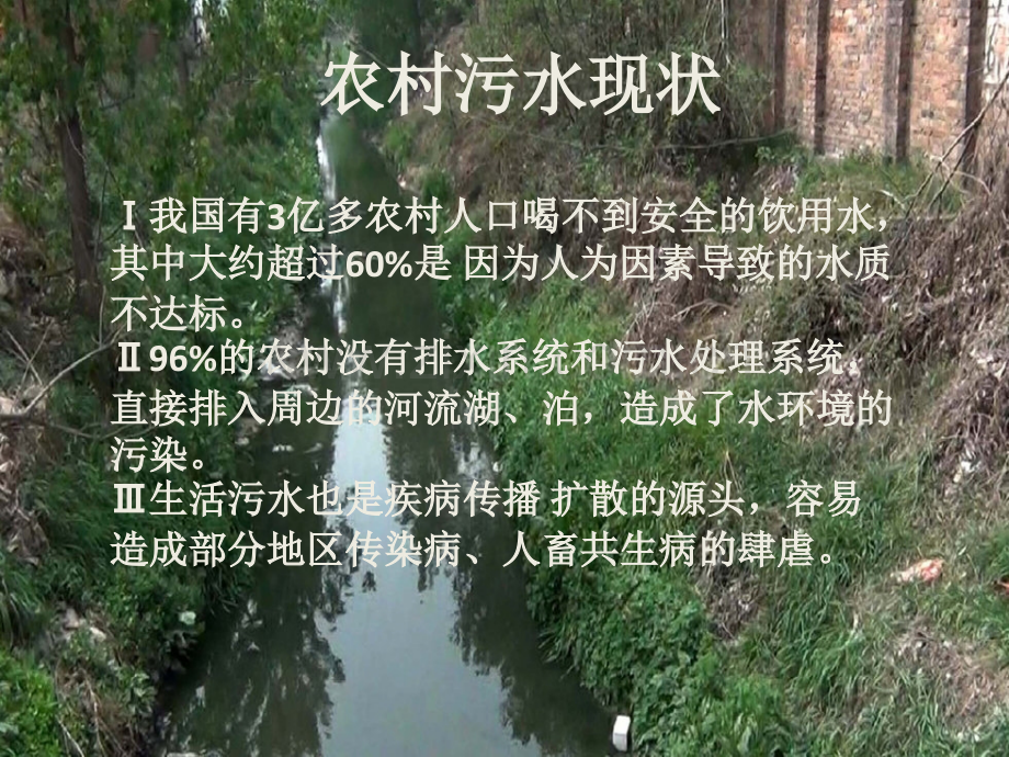 人工湿地对农村生活污水的处理.pptx_第2页