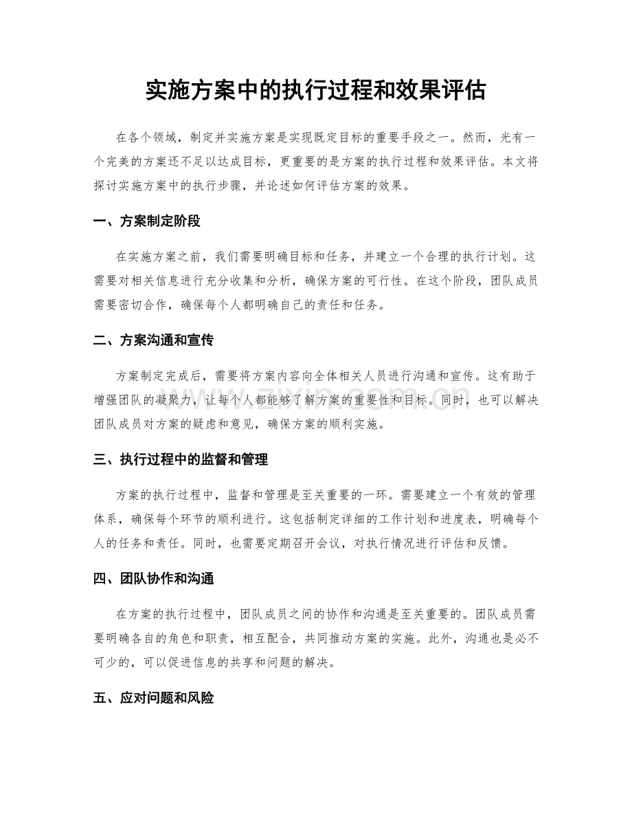 实施方案中的执行过程和效果评估.docx_第1页