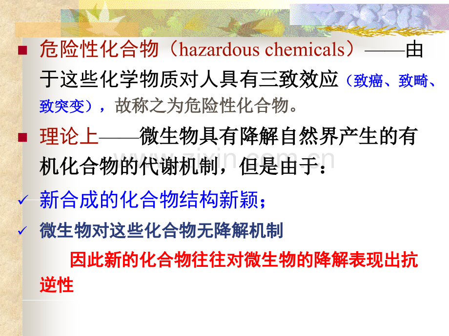 危险性化合物的微生物降解-中国石油大学环境生物工程.pptx_第1页