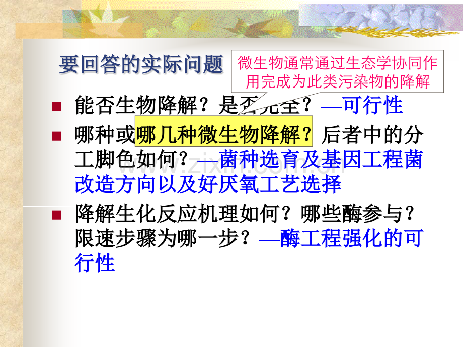 危险性化合物的微生物降解-中国石油大学环境生物工程.pptx_第3页