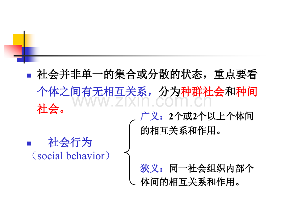 家畜行为学家畜的社会行为.pptx_第2页