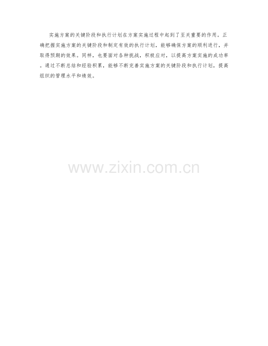 实施方案的关键阶段与执行计划.docx_第3页