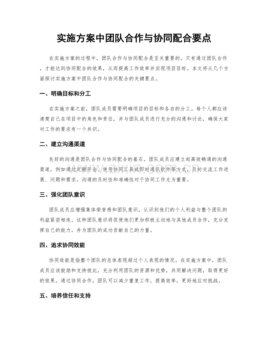 实施方案中团队合作与协同配合要点.docx_第1页