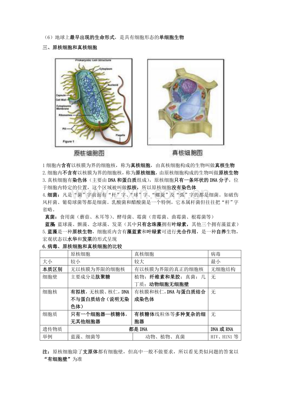 高一生物期中考复习资料汇总.doc_第2页