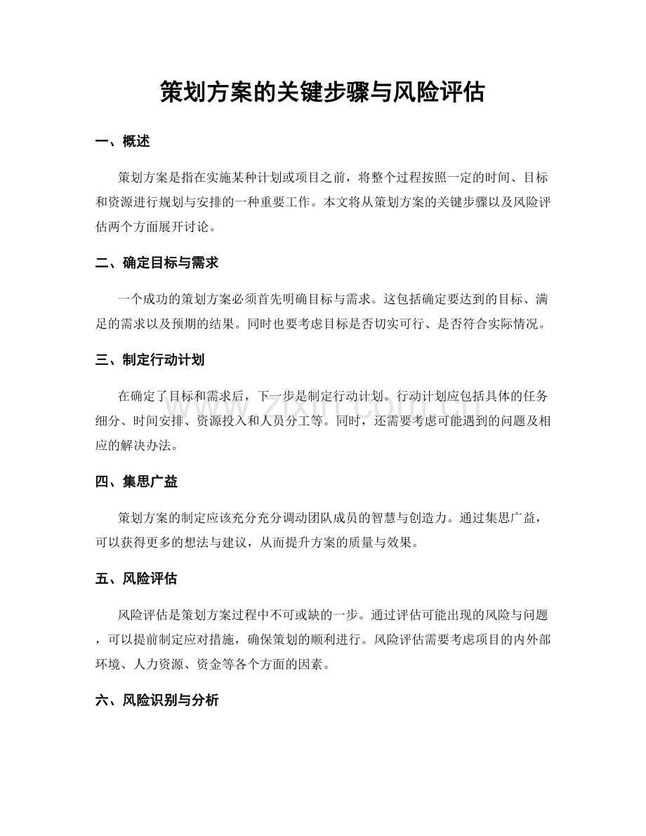 策划方案的关键步骤与风险评估.docx_第1页