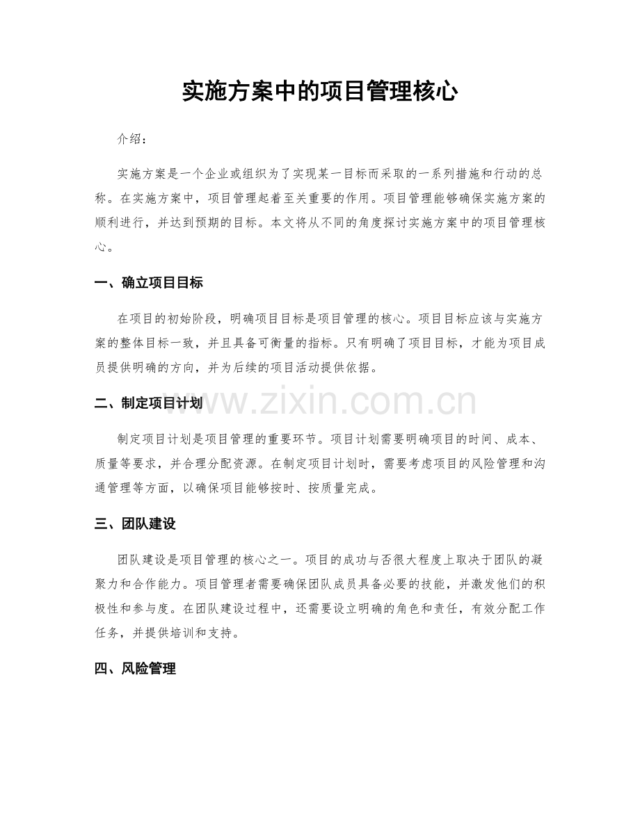 实施方案中的项目管理核心.docx_第1页