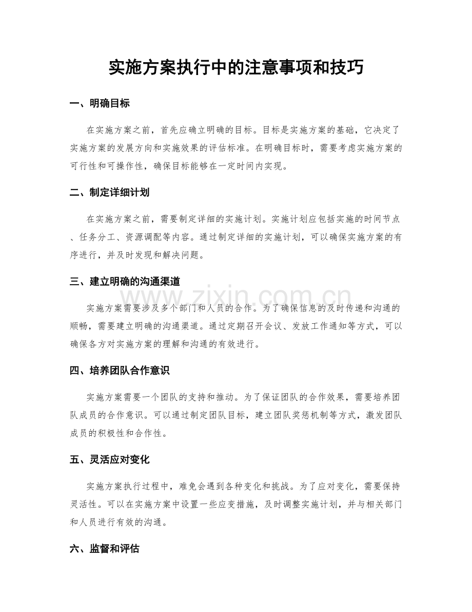 实施方案执行中的注意事项和技巧.docx_第1页