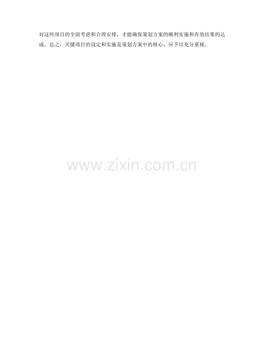 策划方案中的关键项目与可行性分析.docx_第3页