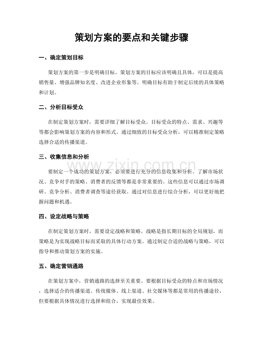 策划方案的要点和关键步骤.docx_第1页