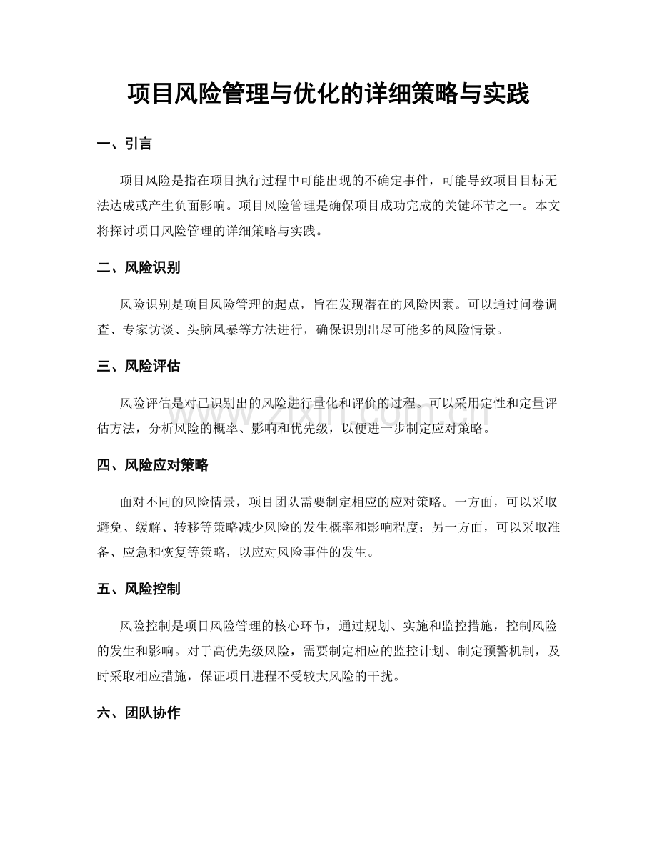 项目风险管理与优化的详细策略与实践.docx_第1页