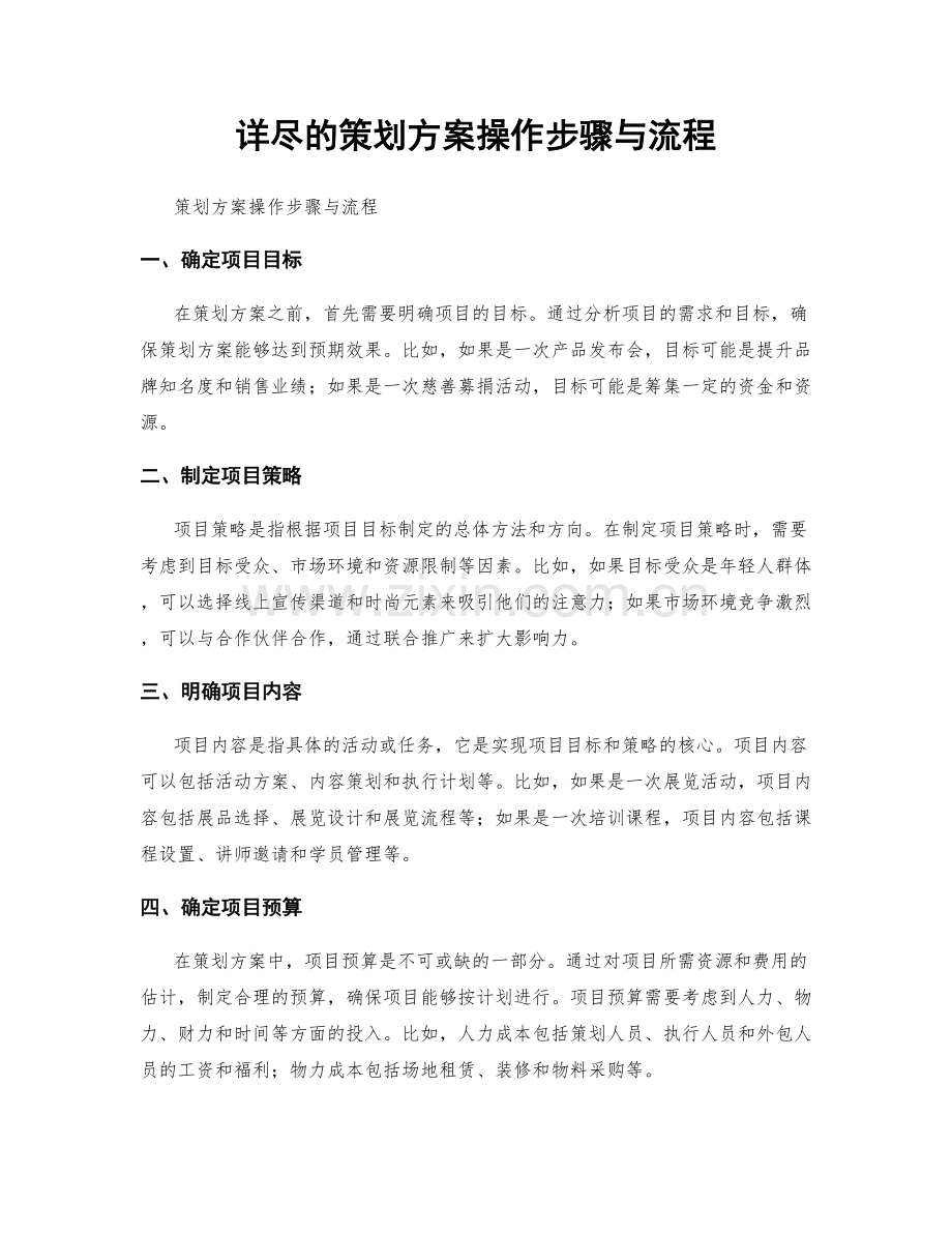 详尽的策划方案操作步骤与流程.docx_第1页